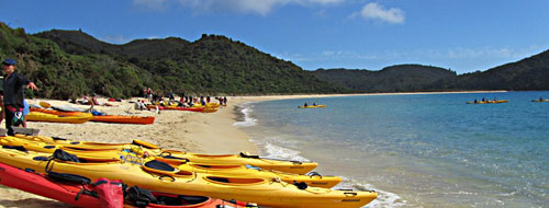 abel tasman kayaking